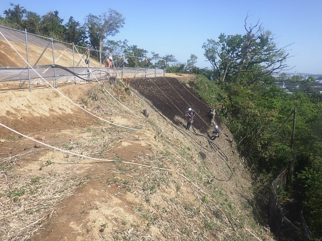 (仮称)小柴貯油施設跡地公園（2期エリア）一部基盤整備工事