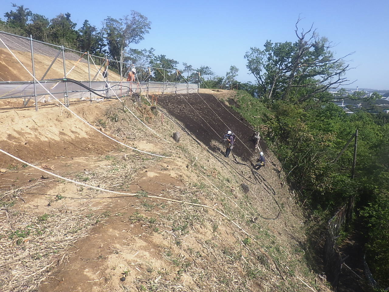 (仮称)小柴貯油施設跡地公園（2期エリア）一部基盤整備工事